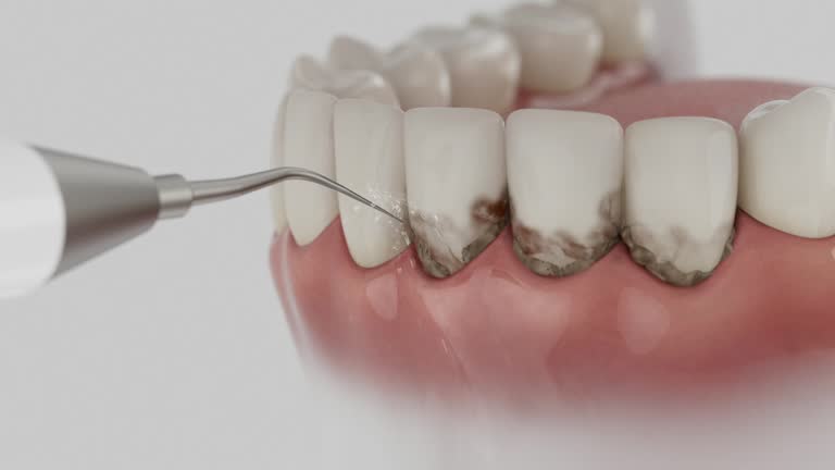 Reliable Dental contractor in Millersburg, PA by Dentist Open Now